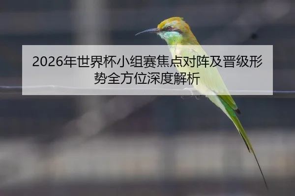 2026年世界杯小组赛焦点对阵及晋级形势全方位深度解析 - BIYI SPORTS
